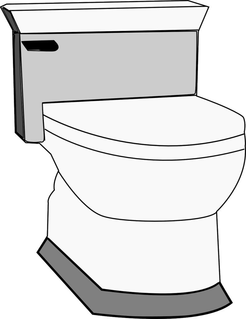 toilet, washroom, bathroom-146604.jpg